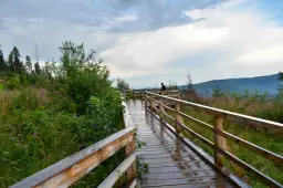 Taras widokowy Bukowina Tatrzańska: Gdzie podziwiać Tatry za darmo?