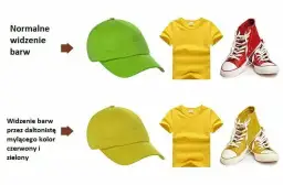 Czy daltonizm można wyleczyć? Fakty i mity o ślepocie barw