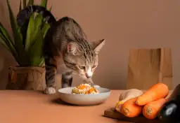 Koty mogą jeść groszek? Tak, ale poznaj kluczowe zasady!