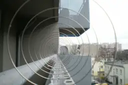 Jak zabezpieczyć dach przed ptakami i uniknąć kosztownych szkód