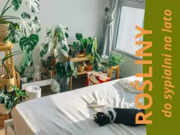 Sypialnia z wieloma roślinami doniczkowymi, kotem na łóżku i oknem.