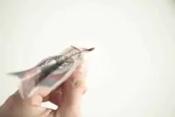 Co to jest renta socjalna? Sprawdź, kto może ją otrzymać i ile wynosi