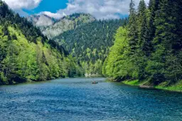 Spływ kajakowy z Zakopanego: Dunajec, trasy, ceny i porady