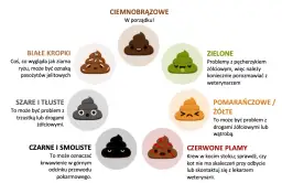 Jak rozpoznać różne rodzaje kupy u psa: Co oznacza jasna i ciemna kupa