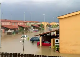 Sennik zalane mieszkanie: domy i samochody pod wodą, jakby sen o powodzi.