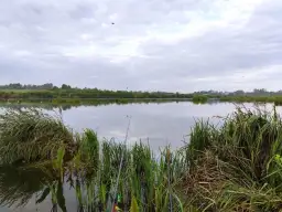 Jakie ciśnienie dobre na ryby? Odkryj tajemnice skutecznego wędkowania