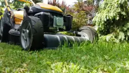 Jaką kosiarkę spalinową kupić? Wybierz najlepszy model dla siebie