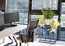 Rośliny do biura: 7 inspiracji na zieloną aranżację