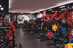 Fabryka Formy Strzeszyńska (dawniej Gym World): Twój przewodnik