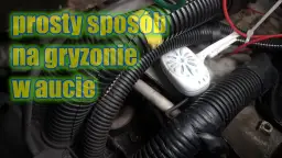 Jak pozbyć się mysz z samochodu: Skuteczne metody, które działają