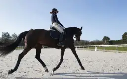 Jeździectwo: od podstaw do mistrzostwa - nauka jazdy konnej