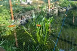 Jak zrobić siatkę na ryby – proste kroki, które musisz znać