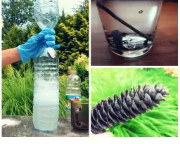 Eksperymenty z wodą i lodem: proste doświadczenia dla dzieci, które zaskoczą