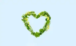 Jakie leki na obniżenie pulsu - skuteczne metody i naturalne rozwiązania