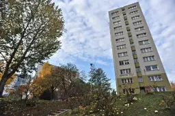 Ile zarabia prezes małej spółdzielni mieszkaniowej? Zaskakujące fakty!