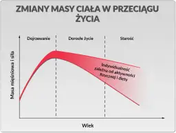 Ile białka dziennie przy treningu? Twój plan na masę i redukcję