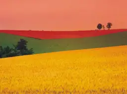 Czy daltonizm można korygować specjalnymi barwnymi szkłami?