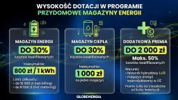 Dotacje na magazyny energii: do 30% kosztów kwalifikowanych, maks. 800 zł/kWh. Dodatkowa premia 2000 zł.