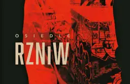 Osiedle RZNiW - co to znaczy i jakie ma znaczenie w literaturze?