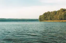 Jezioro Moczydło Lubuskie - idealne miejsce na relaks i wędkowanie