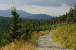 Najlepsze atrakcje w Jesioniku, które musisz zobaczyć podczas wizyty