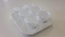 Badanie sensoryczne na czym polega – klucz do sukcesu w branży