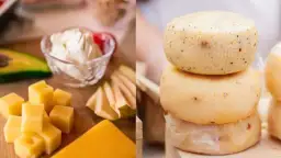 Tradycyjne sery z bacówki: smak, produkcja i gdzie kupić