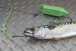 Die besten Köder für Norwegen: So fangen Sie garantiert mehr Fische