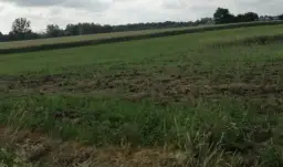 Grunty orne: Co to? Klasy, odrolnienie i przyszłość Twojej ziemi