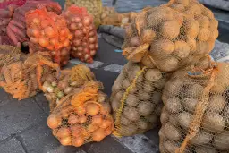 Ile ziemniaków w kilogramie? Poznaj dokładną liczbę sztuk