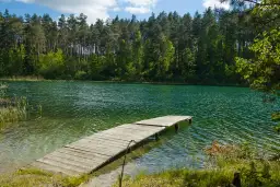 Rezerwat przyrody Puszcza Słupecka - unikalne bogactwo przyrody i ochrona