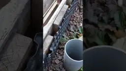 Jak zrobić kwietnik na działce - proste kroki i najlepsze porady