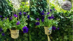 Jak zrobić kwietnik na działce? Proste DIY i tanie pomysły!