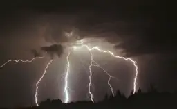 Potężne wyładowania elektryczne rozświetlają nocne niebo, ukazując, ile volt ma piorun. Burza nad horyzontem z drzewami w ciemnej sylwetce.