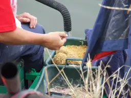 Zanęty Marcela na zawody: przepisy i techniki, które wygrywają