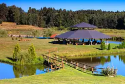 Łowisko komercyjne na stawach w Polsce – łowienie bez karty wędkarskiej