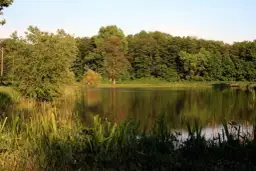 Łowisko Dawidy: Sprawdź, co musisz wiedzieć przed wędkowaniem