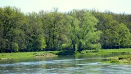 Temat rzeka co to znaczy? Zrozum jego głębokie znaczenie i kontekst