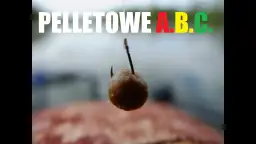 Jak założyć pellet na haczyk? Opanuj techniki i łów więcej!