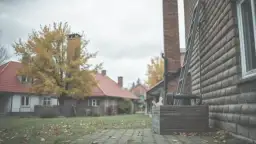 Kiedy chodzą kominiarze z kalendarzami? Sprawdź, by nie przegapić wizyty