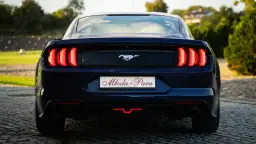 Jakie auto na ślub? Poznaj style, ceny i uniknij wpadki!