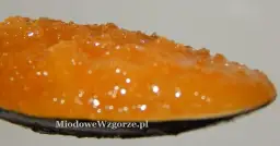 Ile kalorii ma łyżka miodu? Wartość odżywcza i porównanie z innymi produktami