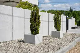 Jak wysokie mogą być tuje przy płocie? Sprawdź przepisy i porady