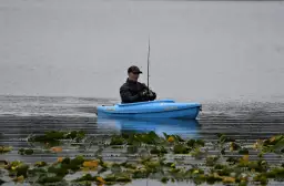 Łowisko u Szerszenia: Wędkarstwo bez karty, świetne ryby i zasady