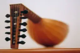 Instrumenty Bliskiego Wschodu - lutnia, qanun, darbuka i inne