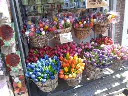 Co warto przywieźć z Holandii? Odkryj unikalne pamiątki i smaki