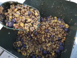 Karpie Biorą! Odkryj Tajniki Zanęty: Przepisy i Nęcenie Eksperta