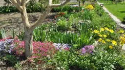 Co posadzić pod jabłonią, aby stworzyć zdrowy i piękny ogród?