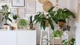 Idealne kwiaty do kwietnika: domowa dżungla i balkonowa oaza