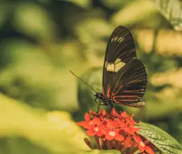 Jak zmienić swoją osobowość i stać się lepszą wersją siebie